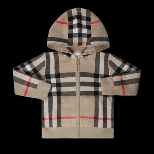 Burberry Kids Check Zipped Hoodie 'Archive Beige'