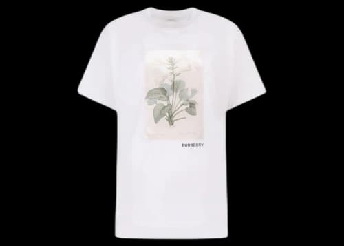 Burberry Women's Frontal Logo Cotton T-Shirt White