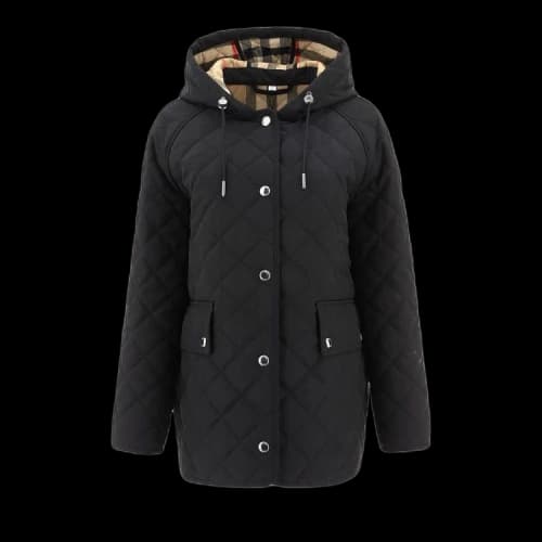 Burberry Quilt Down Hooded Jacket 'Black'