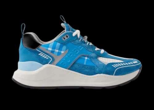 Burberry Sean Low Top Blue White