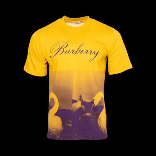 Burberry Swan Graphic Short-Sleeve T-Shirt 'Pear'