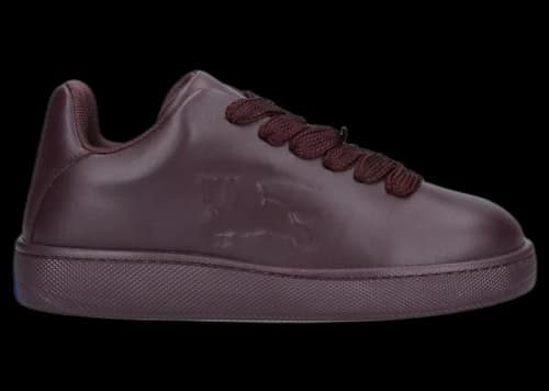 Burberry Low-Top Skateboard Shoes Black