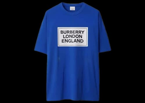 Burberry Ellison Logo Print T-shirt Canvas Blue