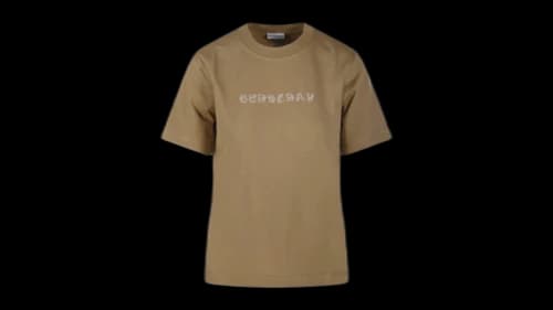 Burberry Paisley Print Logo Cotton T-shirt Teddy Brown
