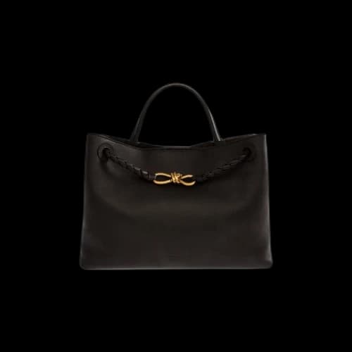 Bottega Veneta Medium Andiamo Bag 'Fondant/Brass'