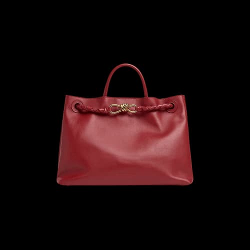 Bottega Veneta Andiamo Bag 'Rosewood/Space'