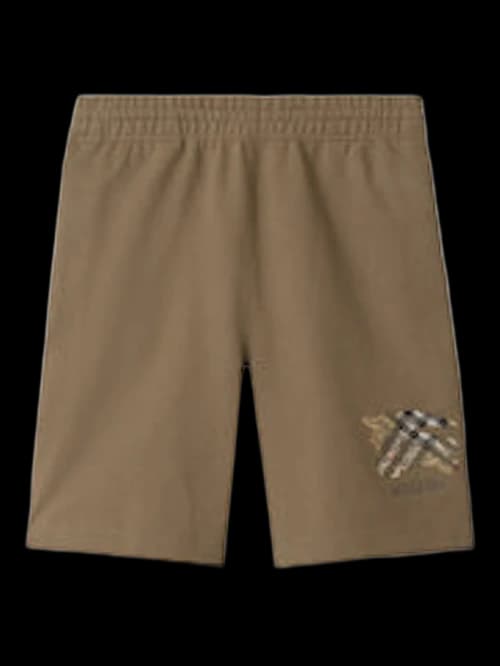 Burberry Brown Elastic Waist Shorts Clay Brown