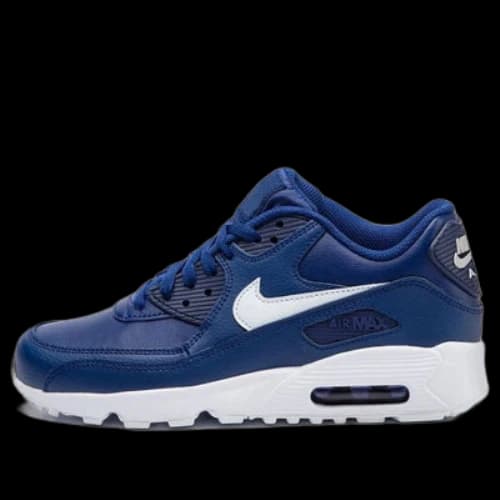 (GS) Nike Air Max 90 LTR Leather Low-Top Blue/White
