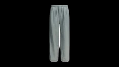 Balenciaga Casual Pants Grey