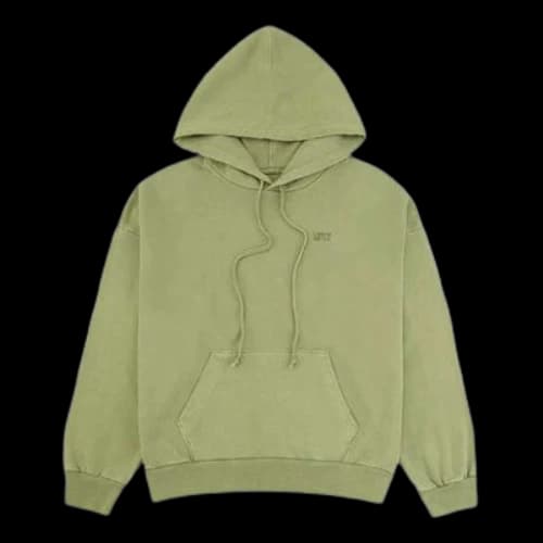 Levi's Series Embroidered Logo hooded Drawstring Hoodie Green (Women's)