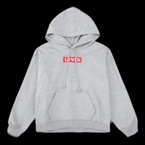 Levi's Alphabet Pure Cotton Hoodie Gray (Women's)