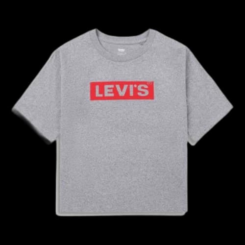 LEVI'S Levis Casual Round Neck Printing Short Sleeve Gray