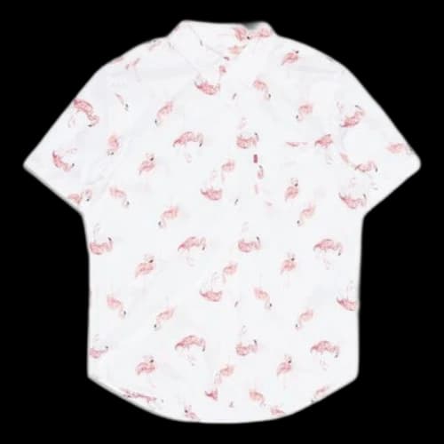LEVI'S Levis HAILEY AND JADEN Series Printing Short Sleeve Shirt White