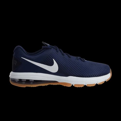 Nike Air Max Full Ride TR 1.5 'Binary Blue Gum'
