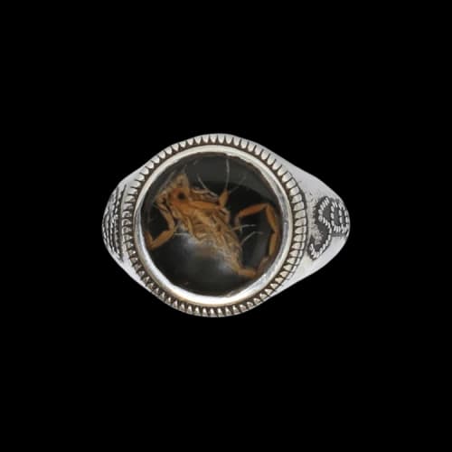 Paly Hollywood Scorpio Rising Ring 'Silver/Gold'