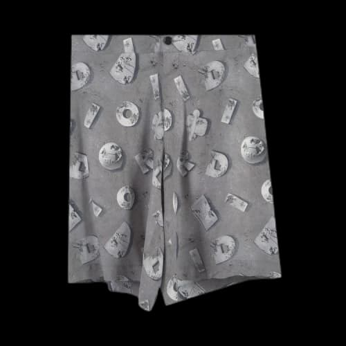 Dior Arsham Lunar Relic Shorts 'Grey'