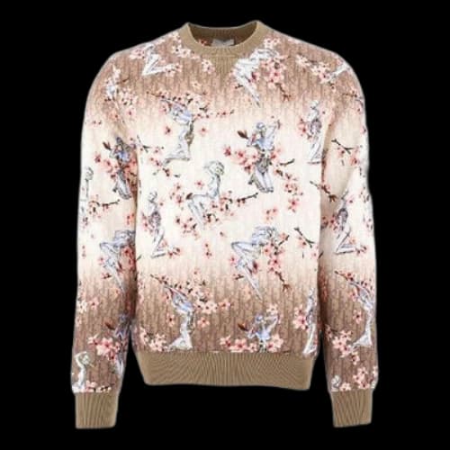DIOR x Sorayama All Over Graphic Print Sweatshirt M Brown