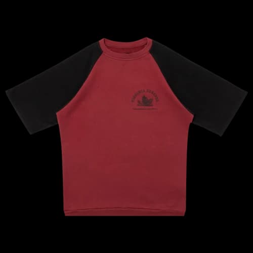 Raf Simons Short-Sleeve Raglan Sweater Virgina Creeper 'Burgundy/Black'