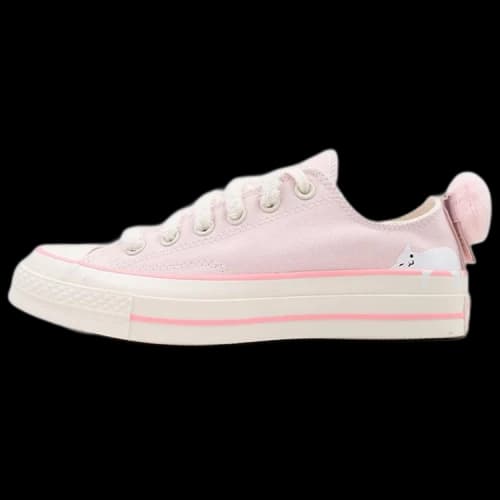 Converse Chuck 70 Low 'Pet Pack - Cat'