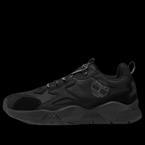 Timberland Ripcord Arctra Low Sneakers 'Black'