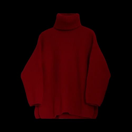 Acne Studios Nalle Turtleneck Sweater 'Red'
