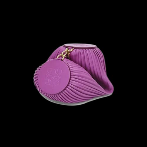 Loewe Bracelet Pouch 'Bright Purple'