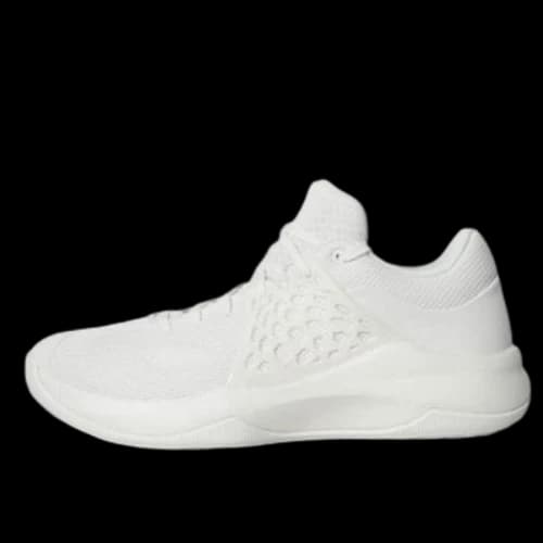 Li-Ning TD Basketball Shoe