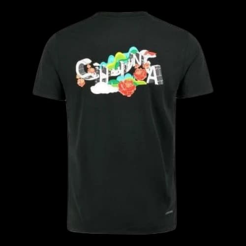Li-Ning Badminton Graphic Quick-Drying T-shirt 'Black'