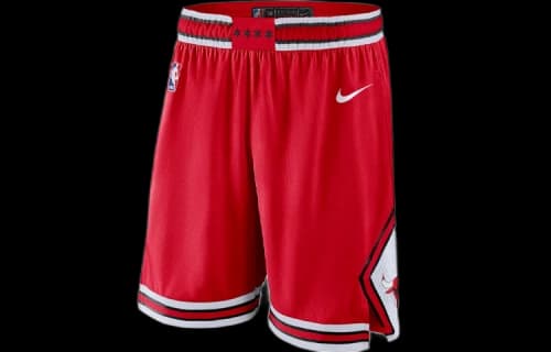 Nike NBA Chicago Bulls Swingman Icon Edition Dri-Fit Shorts Red