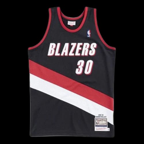 Mitchell & Ness NBA Authentic Jersey 'Portland Trail Blazers - Rasheed Wallace 1999/00'