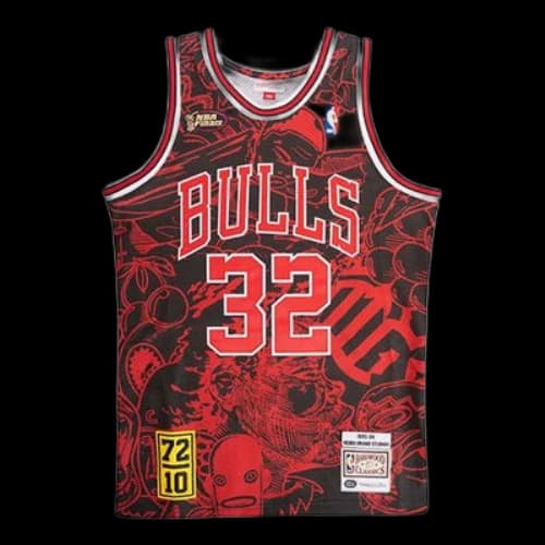Mitchell & Ness NBA x Hebru Brantley 95-96 32