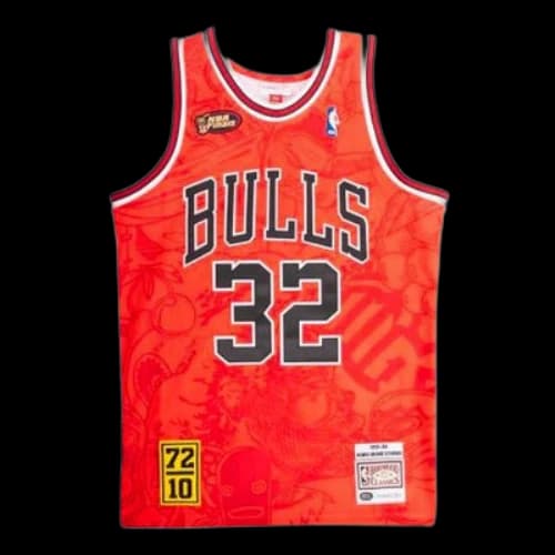 Mitchell & Ness NBA x Hebru Brantley 95-96 32