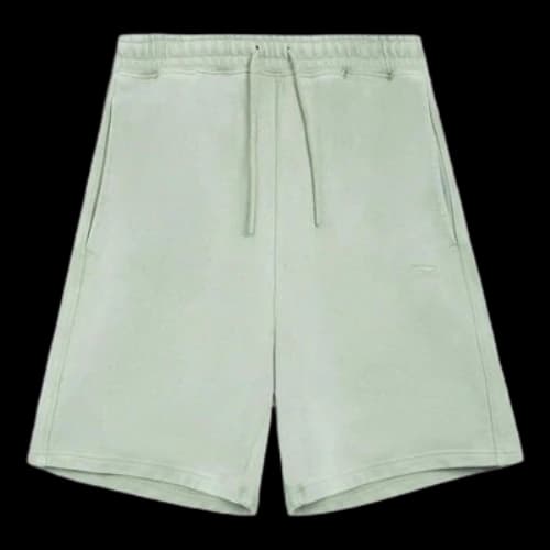 Li-Ning Embroidered Shorts 'Light Green'