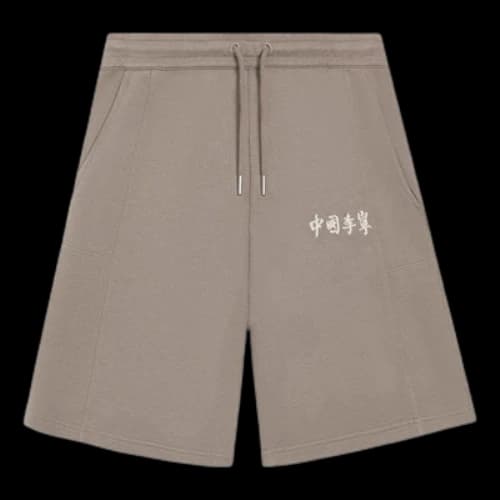 Li-Ning Embroidery Logo Straight Shorts 'Brown'
