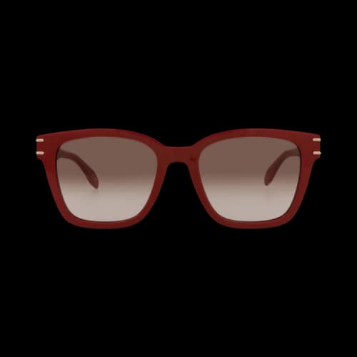 Alexander McQueen Cat Eye-Frame Recycled Acetate Sunglasses 'Burgundy/Brown'