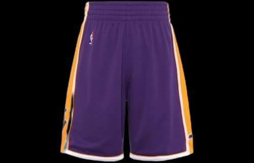 Mitchell & Ness NBA Authentic Shorts Los Angeles Lakers Road 2008-09 'Purple Yellow'