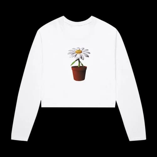 Anti Social Social Club Bellis Crop Long-Sleeve Top 'White'