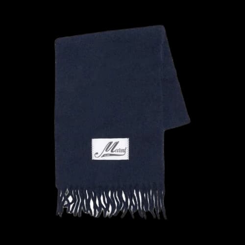 Marni Brushed Alpaca Scarf 'Blue'