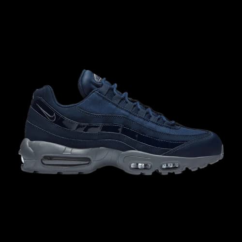 Nike Air Max 95 WE