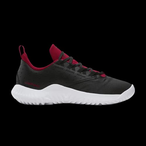 Air Jordan Proto-Lyte 'Black Gym Red'