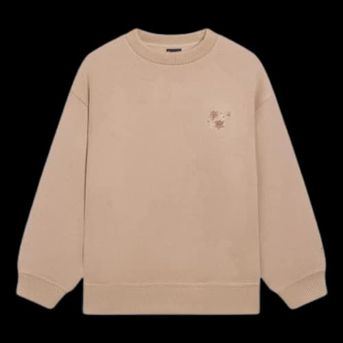 Li-Ning Embroidered Logo Sweatshirt 'Brown' (Women's)