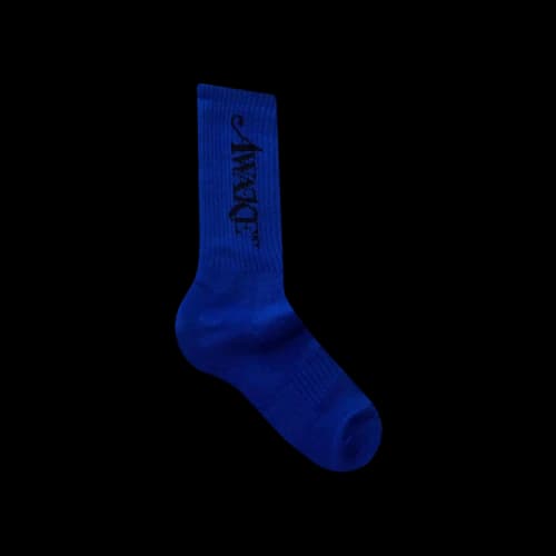 Awake NY Classic Logo Socks 'Blue'