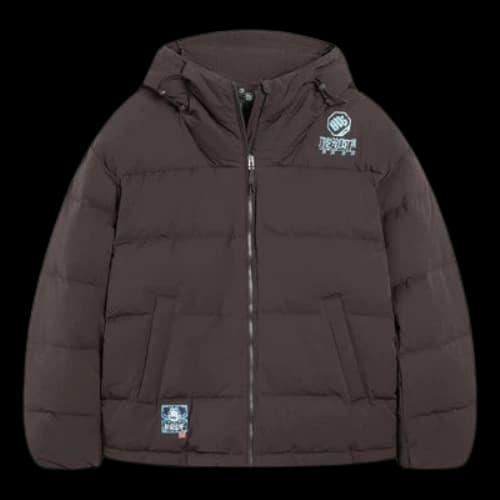 Li-Ning BadFive Changan Boy Graphic Hooded Down Jacket 'Brown'