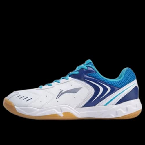Li-Ning Badminton Training Shoes