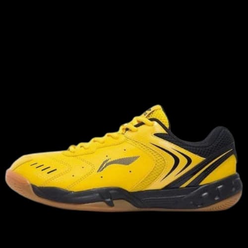 Li-Ning Badminton Training Shoes
