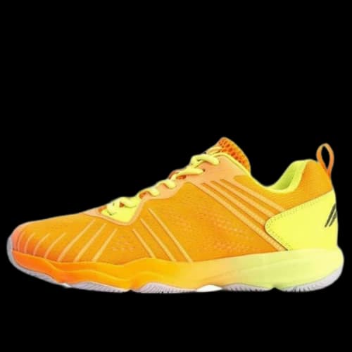 Li-Ning Badminton Training Shoes