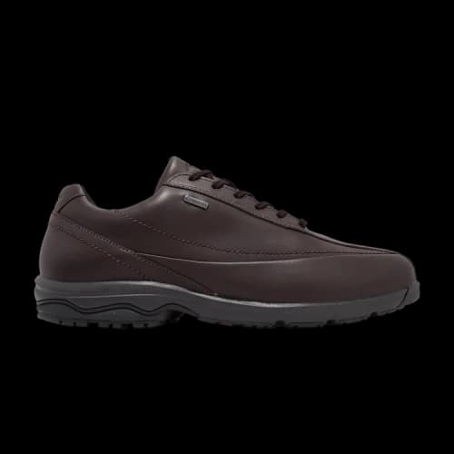 Mizuno LD40 6 Super Wide GORE-TEX 'Dark Brown'