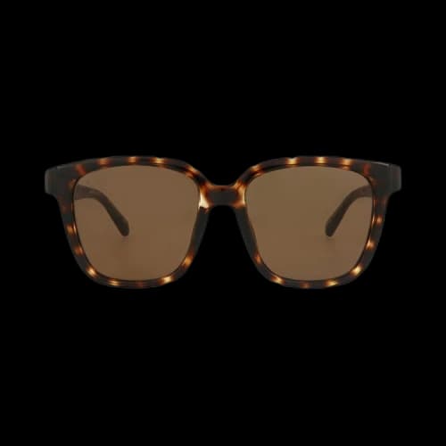 Balenciaga Square Sunglasses 'Havana/Brown'
