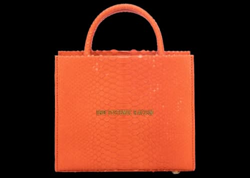 Brandon Blackwood "End Systemic Racism" ESR Tote Python Snakeskin Orange