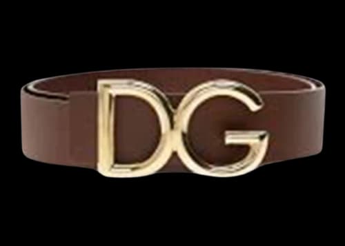 Dolce & Gabbana Logo Plaque Buckle Fastening Belt Brown/Gold-tone